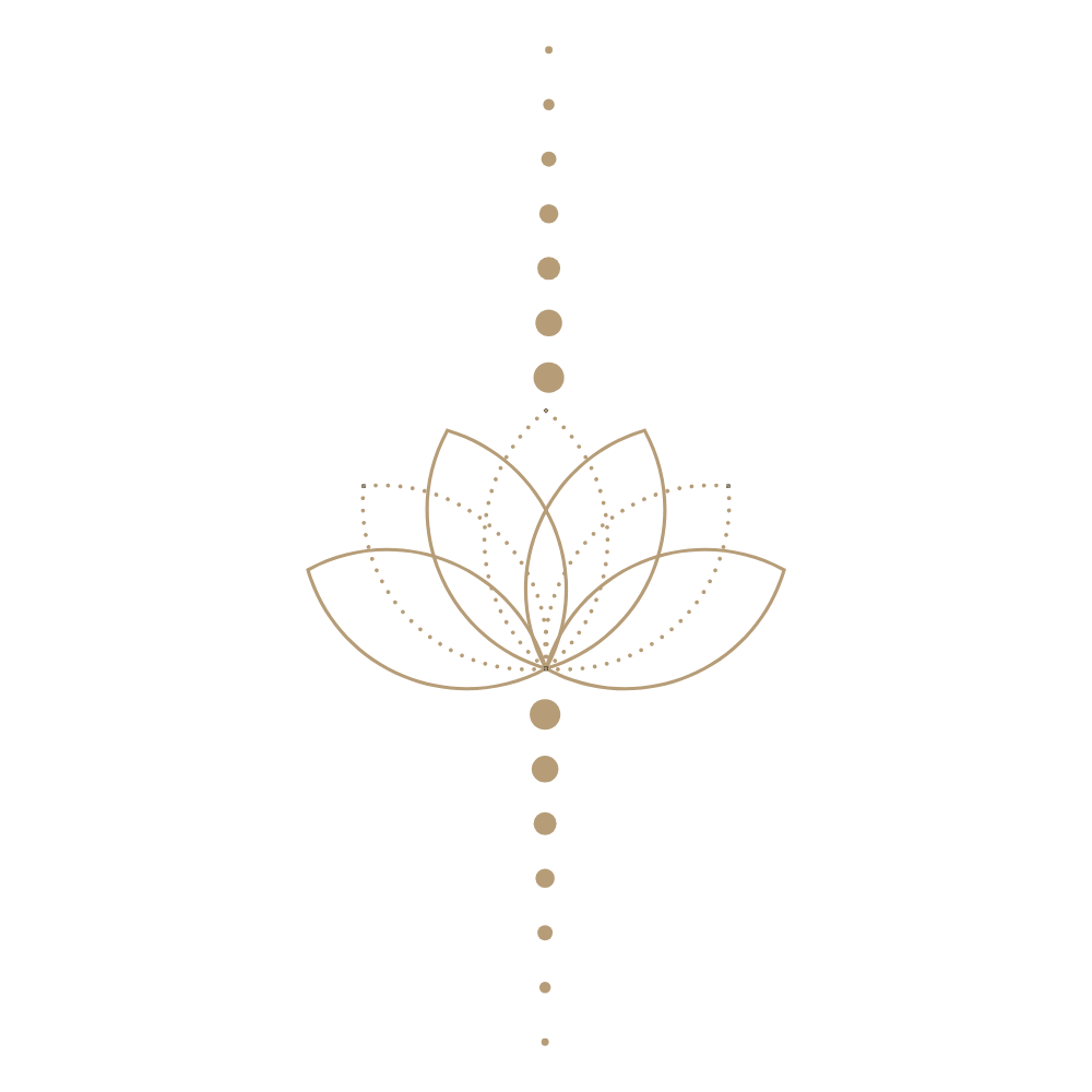 srividya.net Samadhi